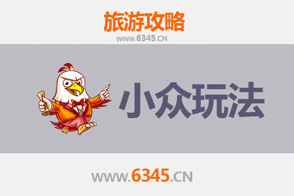 东方华侨农场小众玩法全攻略：探索隐秘的热带田园与侨乡文化